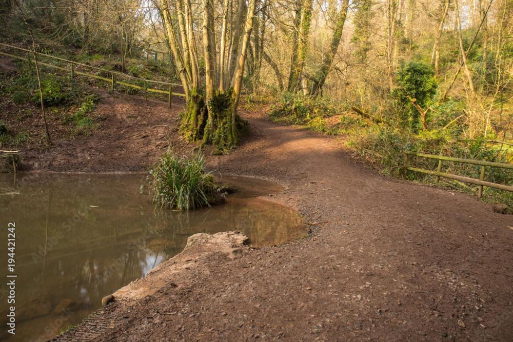 Peaceful Woodland Retreat Near Clifton, Bristol Villa ภายนอก รูปภาพ